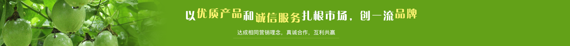 盛畅百香果饮料