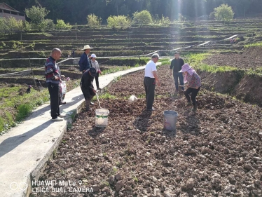 百香果饮料